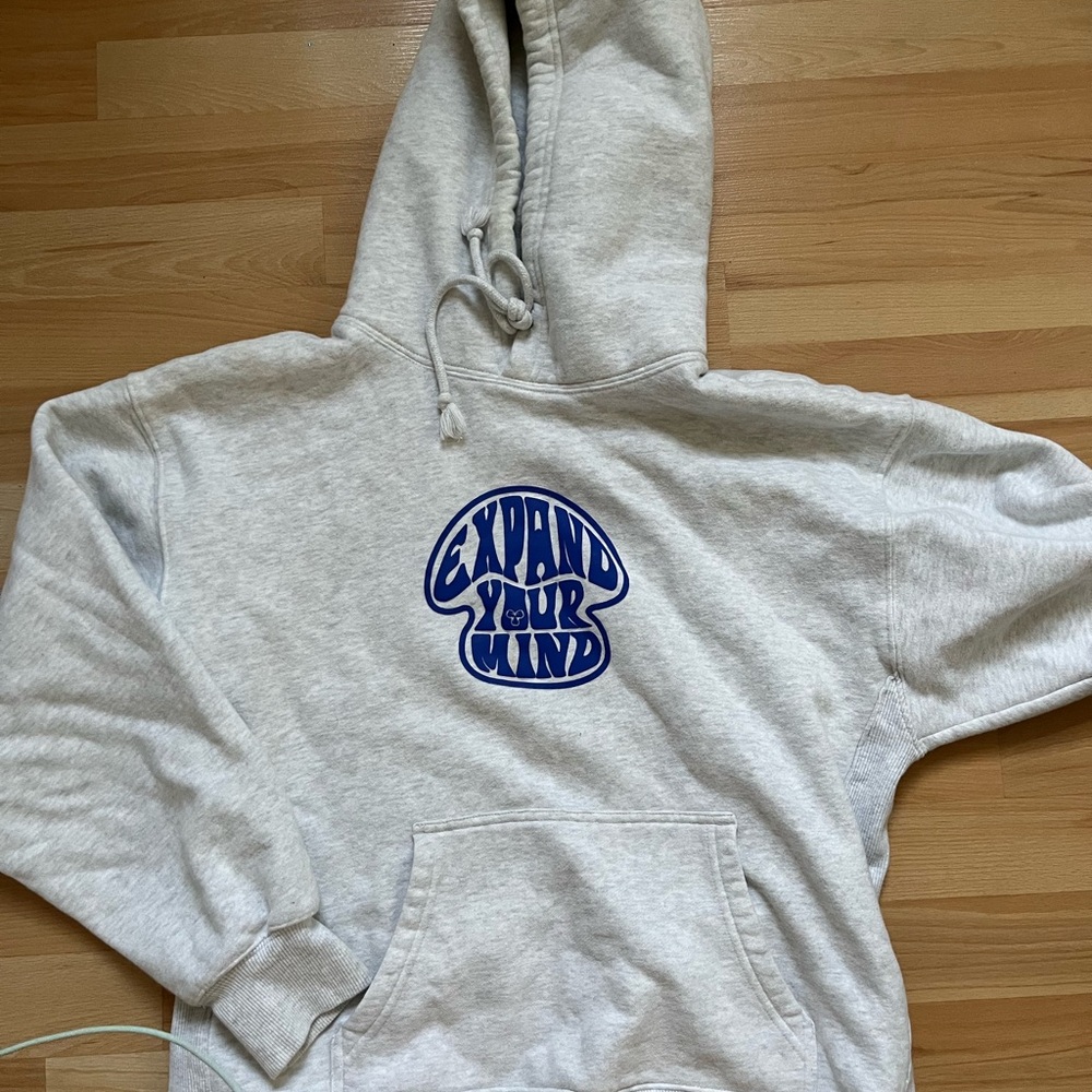 Aritzia hoodie